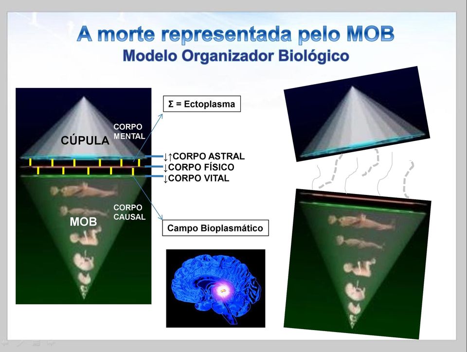 FÍSICO CORPO VITAL MOB