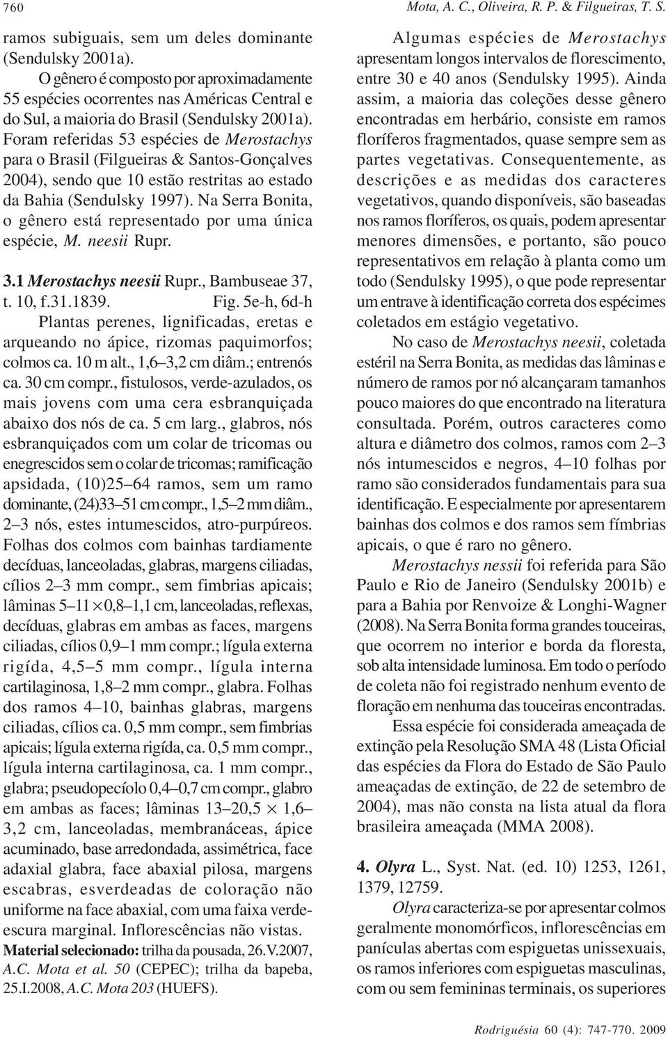 Foram referidas 53 espécies de Merostachys para o Brasil (Filgueiras & Santos-Gonçalves 2004), sendo que 10 estão restritas ao estado da Bahia (Sendulsky 1997).