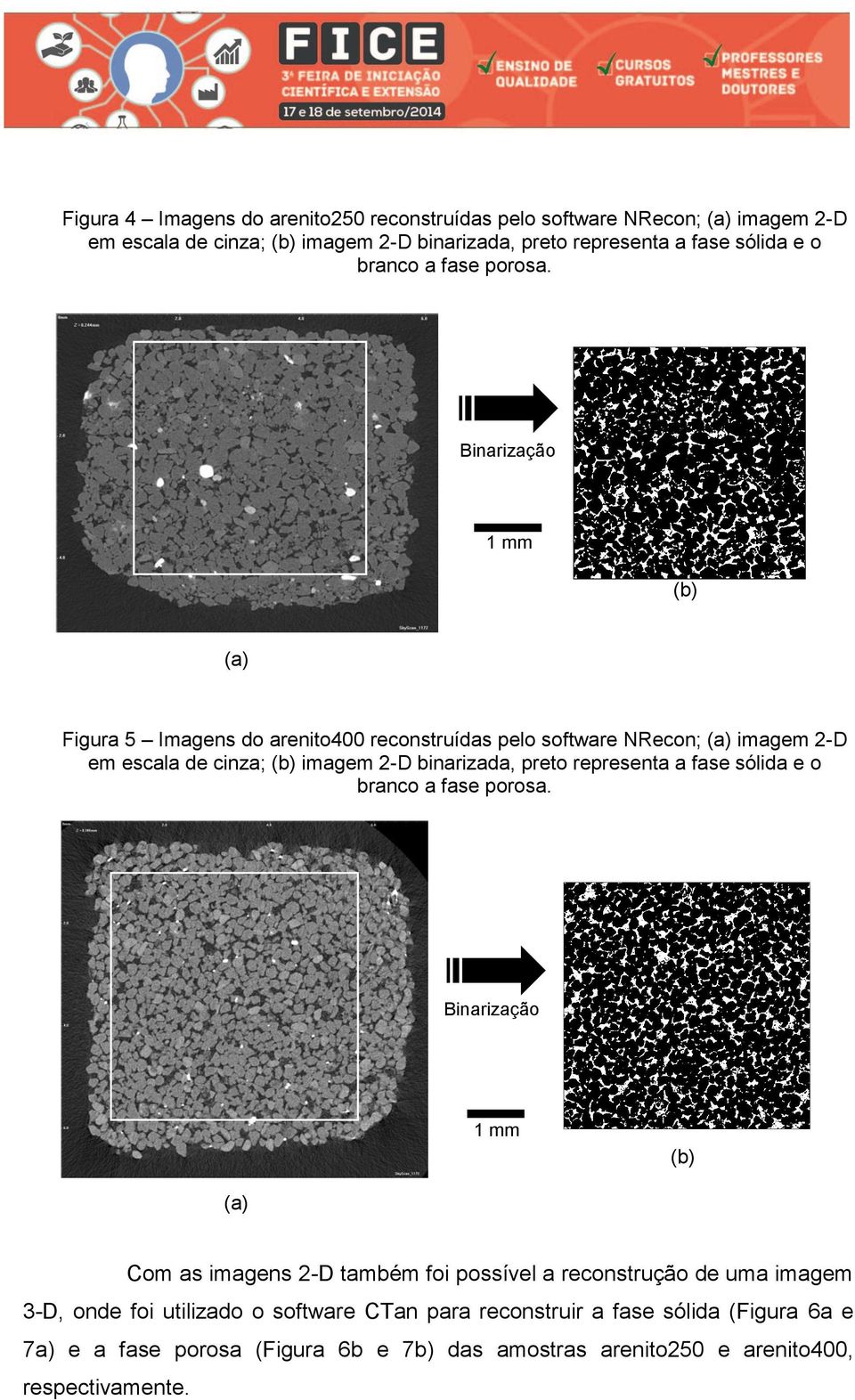 Binarização 1 mm (b) (a) Figura 5 Imagens do arenito400 reconstruídas pelo software NRecon; (a) imagem 2-D em escala de cinza; (b) imagem 2-D binarizada, preto