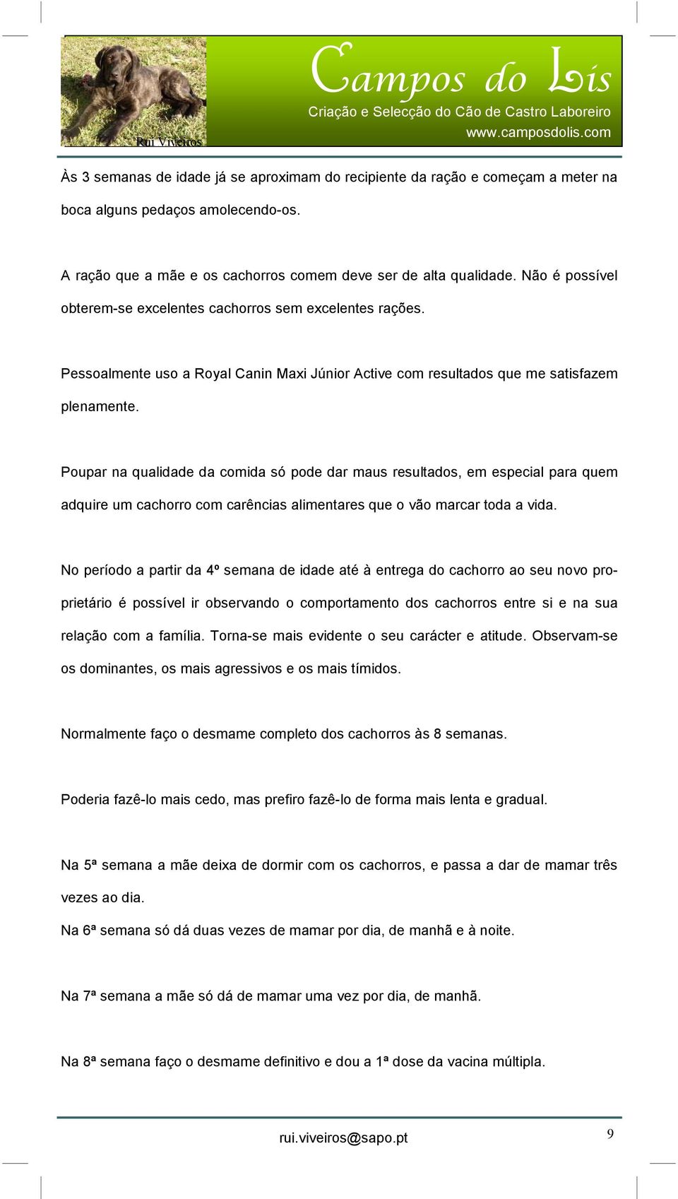 Poupar na qualidade da comida só pode dar maus resultados, em especial para quem adquire um cachorro com carências alimentares que o vão marcar toda a vida.