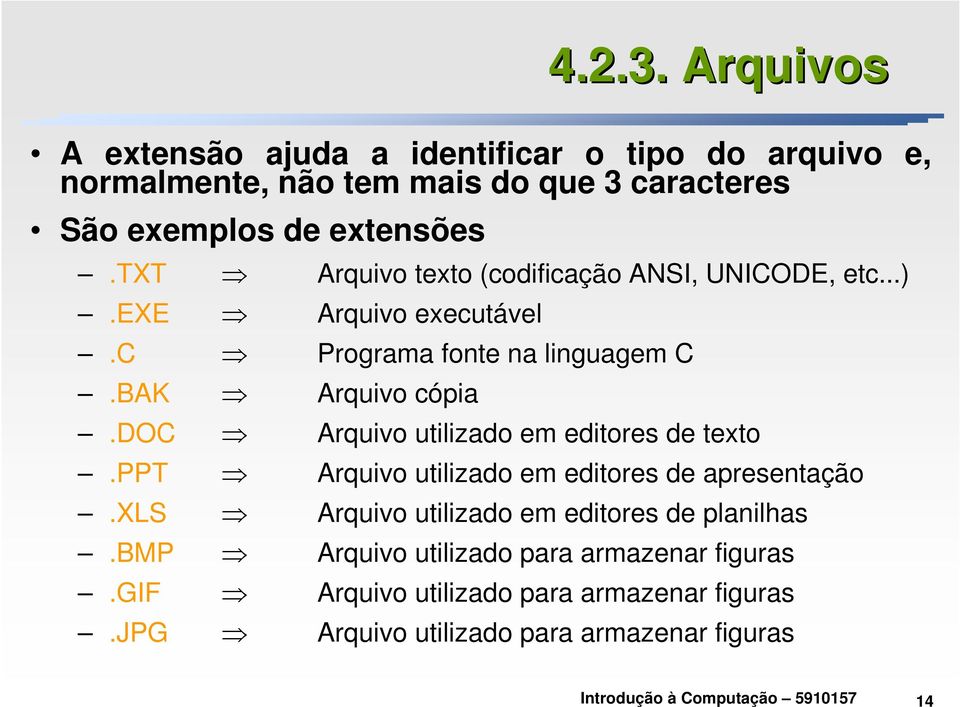 txt Arquivo texto (codificação ANSI, UNICODE, etc...).exe Arquivo executável.c Programa fonte na linguagem C.BAK Arquivo cópia.