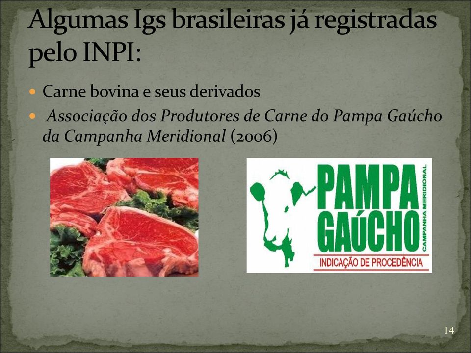 Produtores de Carne do Pampa