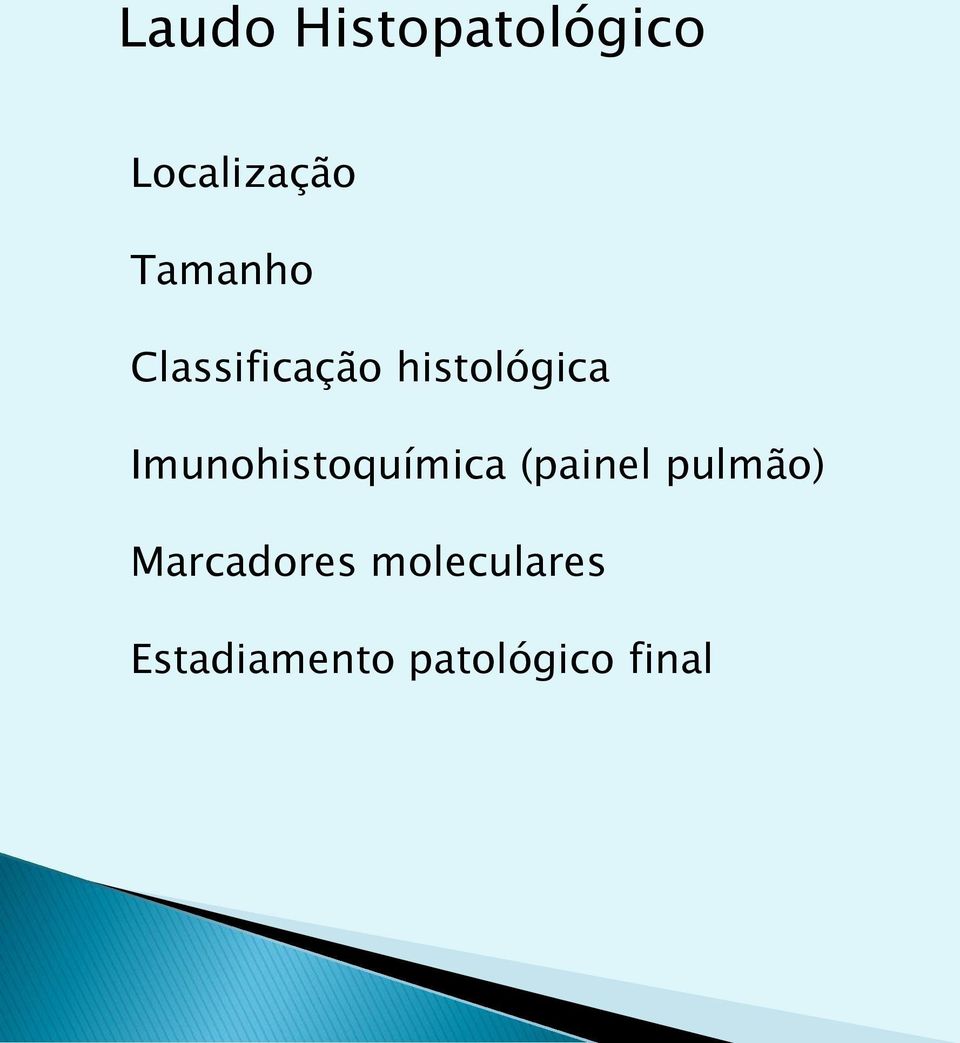 Imunohistoquímica (painel pulmão)