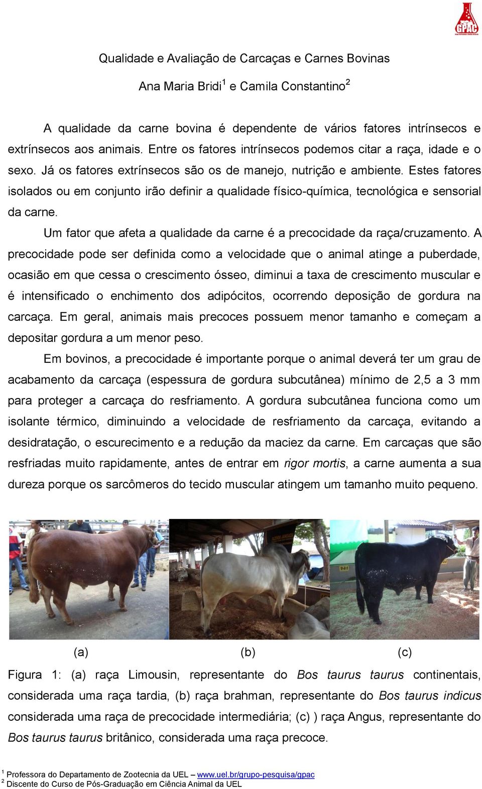 Estes fatores isolados ou em conjunto irão definir a qualidade físico-química, tecnológica e sensorial da carne. Um fator que afeta a qualidade da carne é a precocidade da raça/cruzamento.