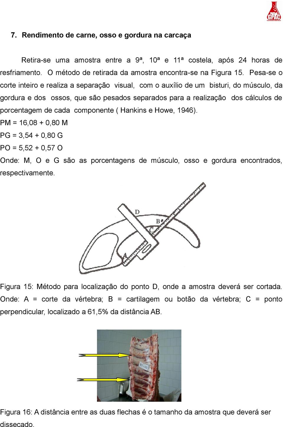 componente ( Hankins e Howe, 1946). PM = 16,08 + 0,80 M PG = 3,54 + 0,80 G PO = 5,52 + 0,57 O Onde: M, O e G são as porcentagens de músculo, osso e gordura encontrados, respectivamente.