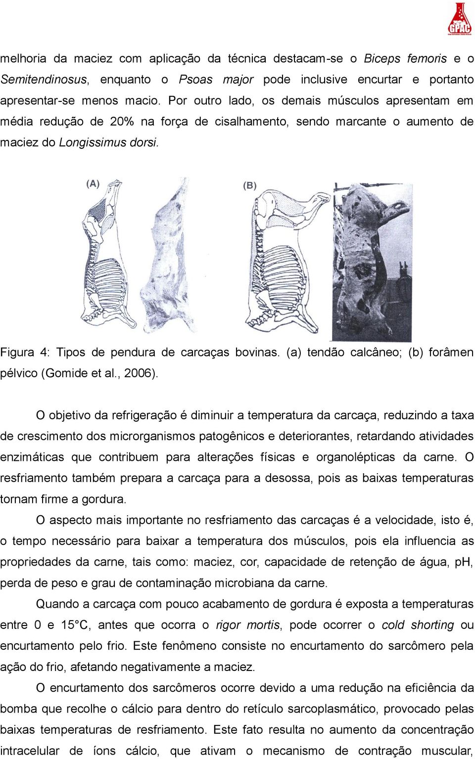 (a) tendão calcâneo; (b) forâmen pélvico (Gomide et al., 2006).