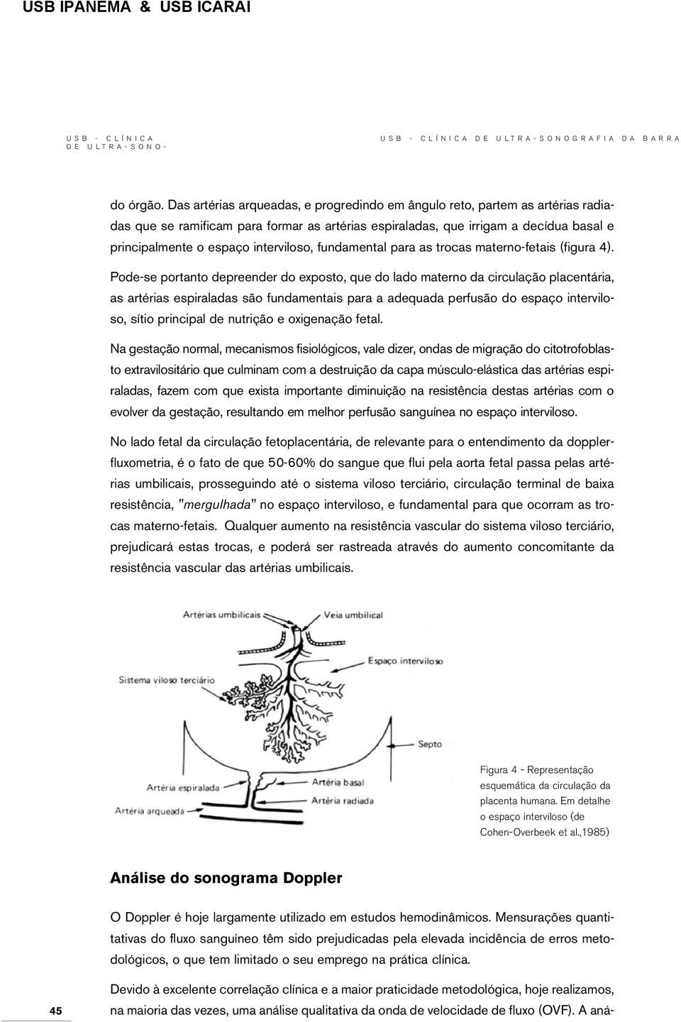 interviloso, fundamental para as trocas materno-fetais (figura 4).