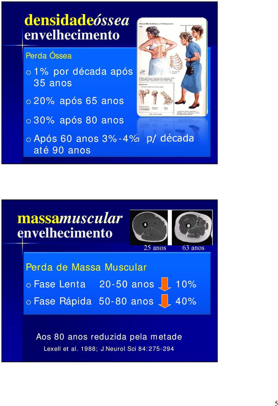 envelhecimento 25 anos 63 anos Perda de Massa Muscular o Fase Lenta 20-50 anos 10% o Fase