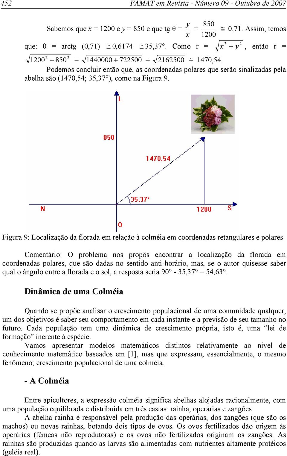Figura 9: Localização da florada em relação à colméia em coordenadas retangulares e polares.