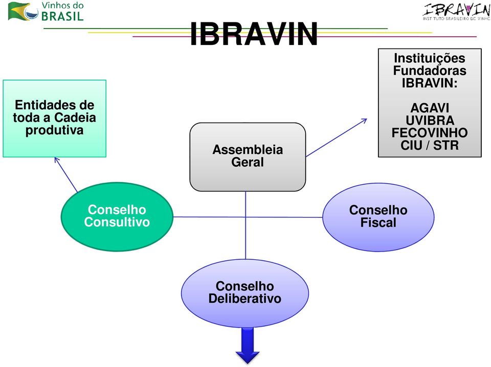 Fundadoras IBRAVIN: AGAVI UVIBRA FECOVINHO CIU /