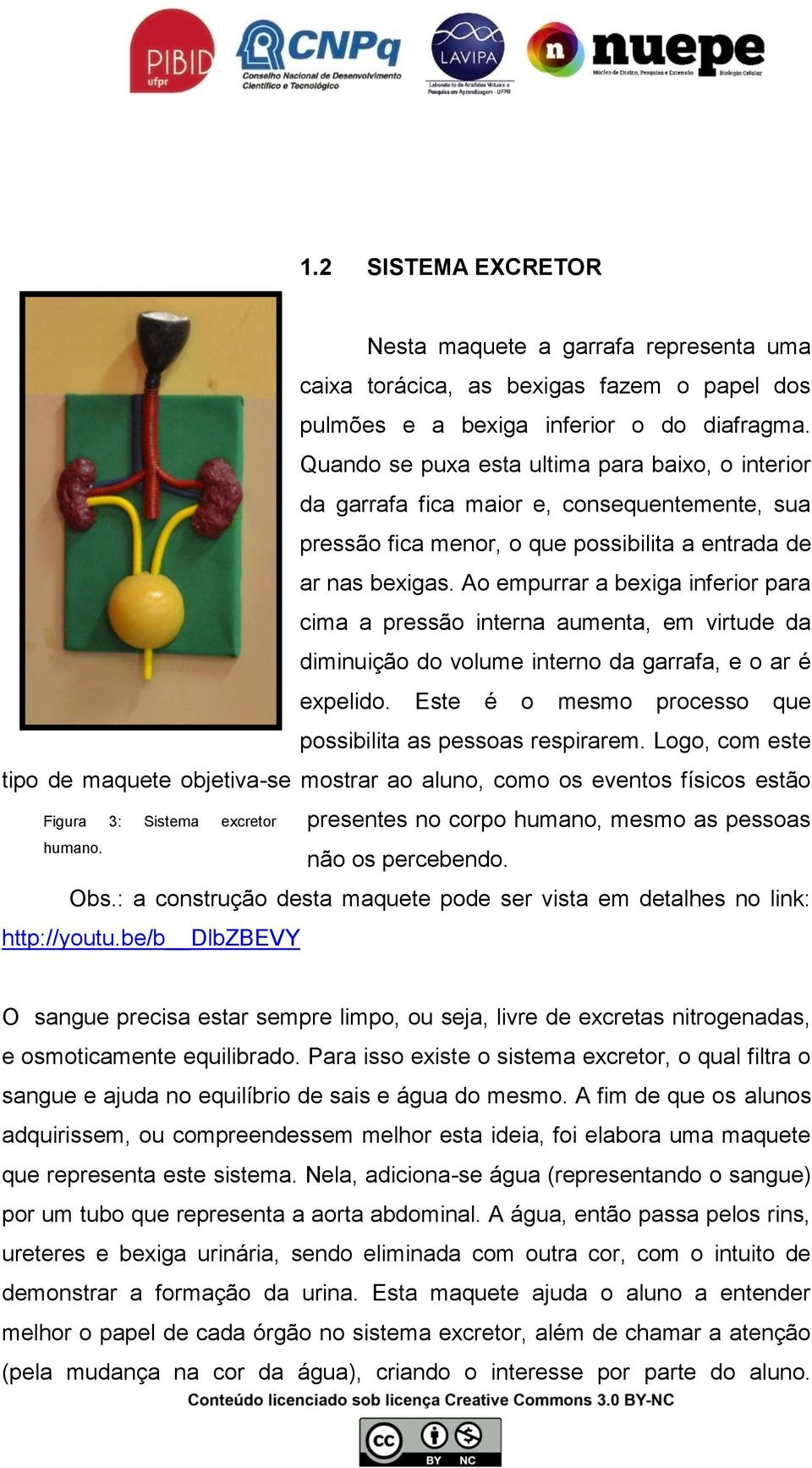 Ao empurrar a bexiga inferior para cima a pressão interna aumenta, em virtude da diminuição do volume interno da garrafa, e o ar é expelido.