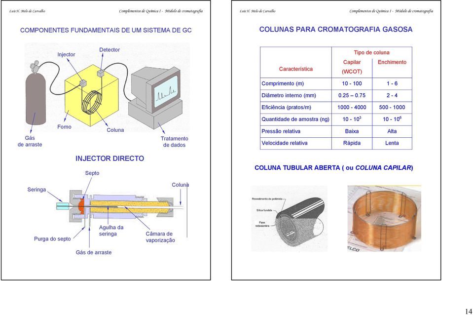 75-4 Gás de arraste Gás de arraste Forno Coluna Tratamento de dados Eficiência (pratos/m) 1000-4000 500-1000 Quantidade de amostra (ng)