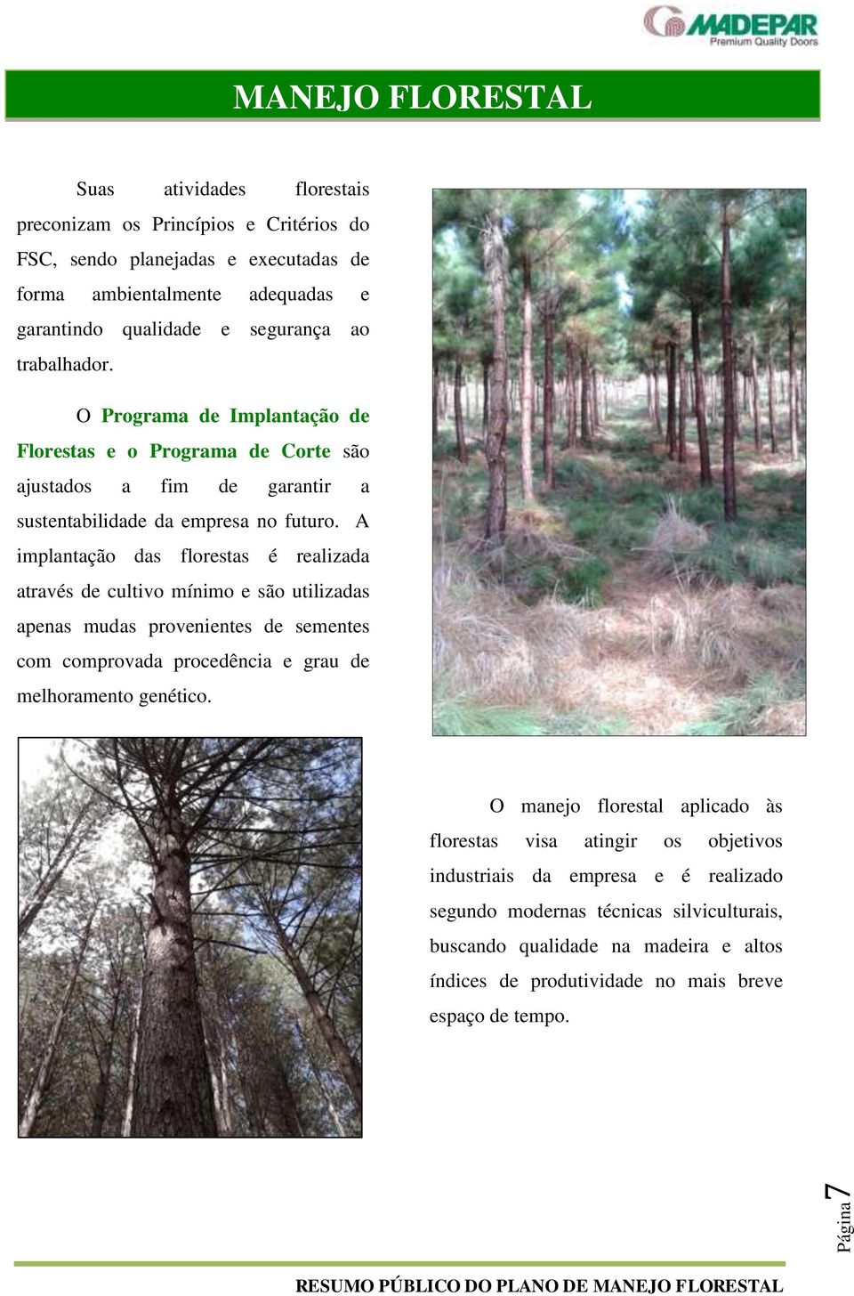 A implantação das florestas é realizada através de cultivo mínimo e são utilizadas apenas mudas provenientes de sementes com comprovada procedência e grau de melhoramento genético.