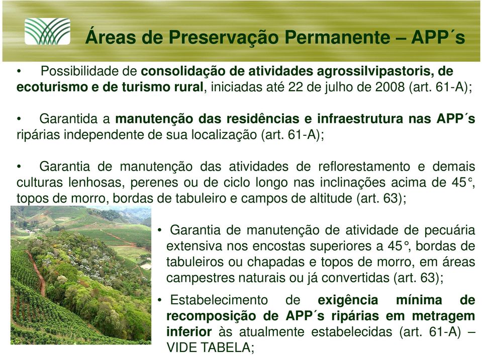 61-A); Garantia de manutenção das atividades de reflorestamento e demais culturas lenhosas, perenes ou de ciclo longo nas inclinações acima de 45, topos de morro, bordas de tabuleiro e campos de