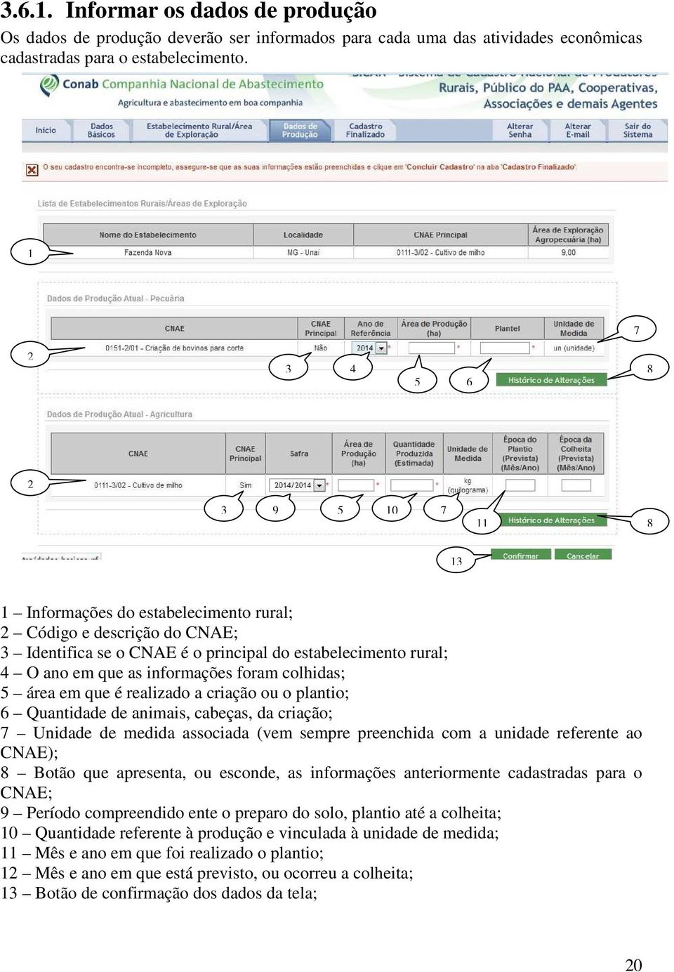 informações foram colhidas; 5 área em que é realizado a criação ou o plantio; 6 Quantidade de animais, cabeças, da criação; 7 Unidade de medida associada (vem sempre preenchida com a unidade