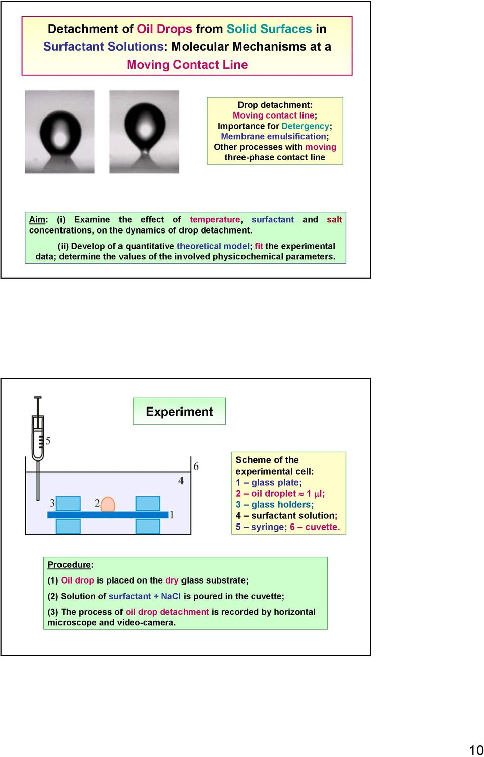 (ii) Develop of a quantitative theoretical model; fit the experimental data; determine the values of the involved physicochemical parameters.