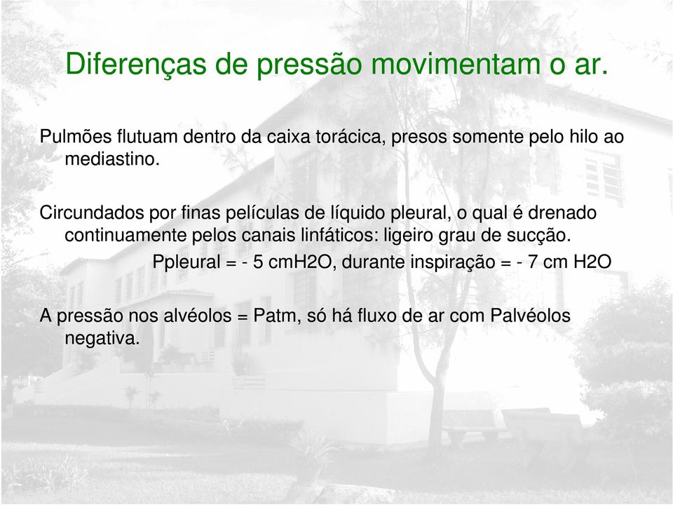 Circundados por finas películas de líquido pleural, o qual é drenado continuamente pelos