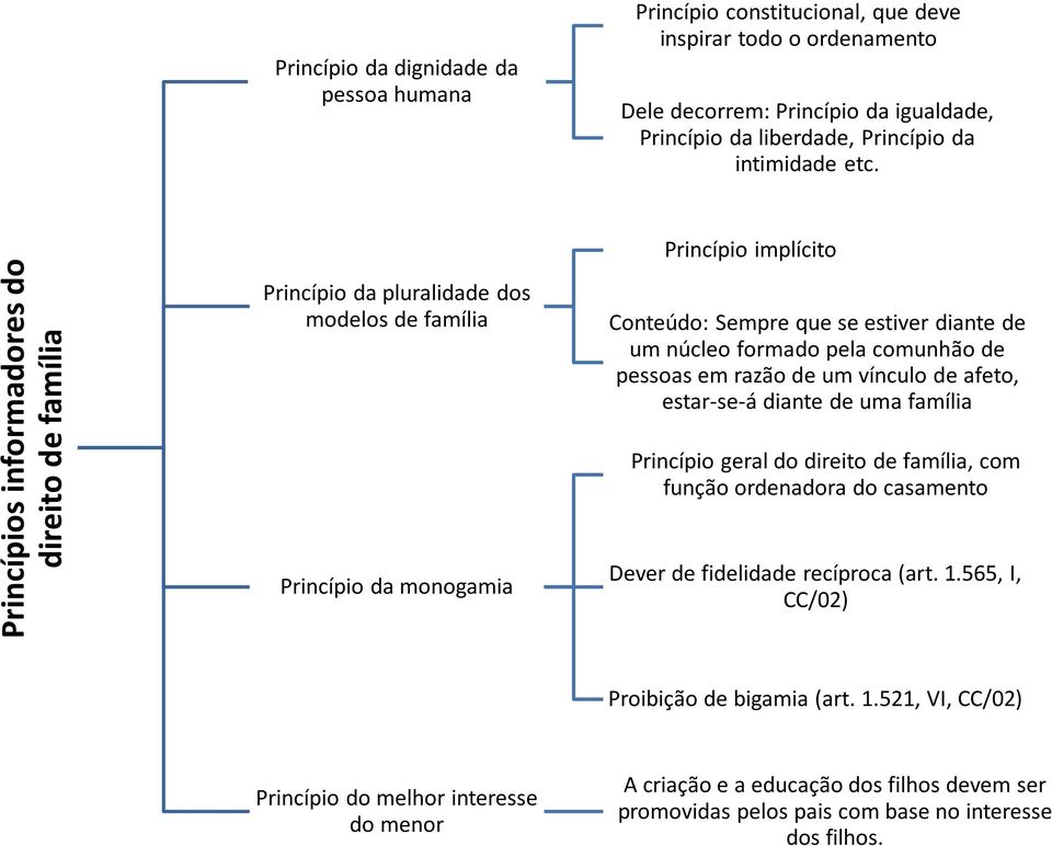 Princípio implícito Princípio da pluralidade dos modelos de família Conteúdo: Sempre que se estiver diante de um núcleo formado pela comunhão de pessoas em razão de um vínculo de afeto, estar-se-á