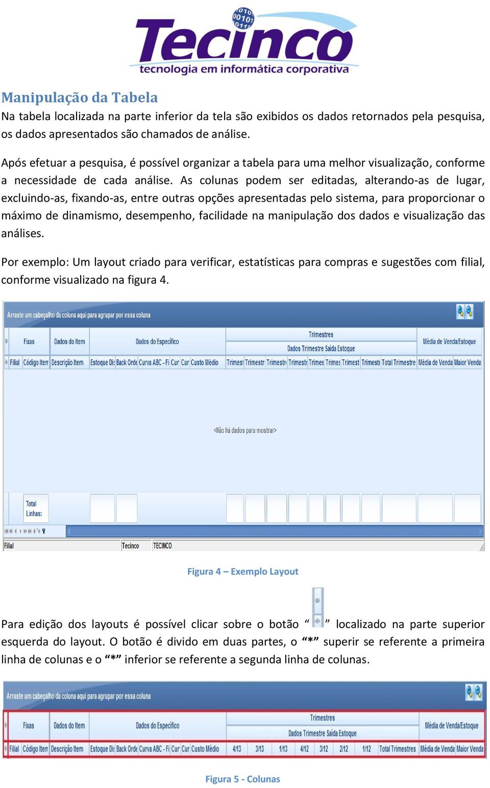 As colunas podem ser editadas, alterando-as de lugar, excluindo-as, fixando-as, entre outras opções apresentadas pelo sistema, para proporcionar o máximo de dinamismo, desempenho, facilidade na