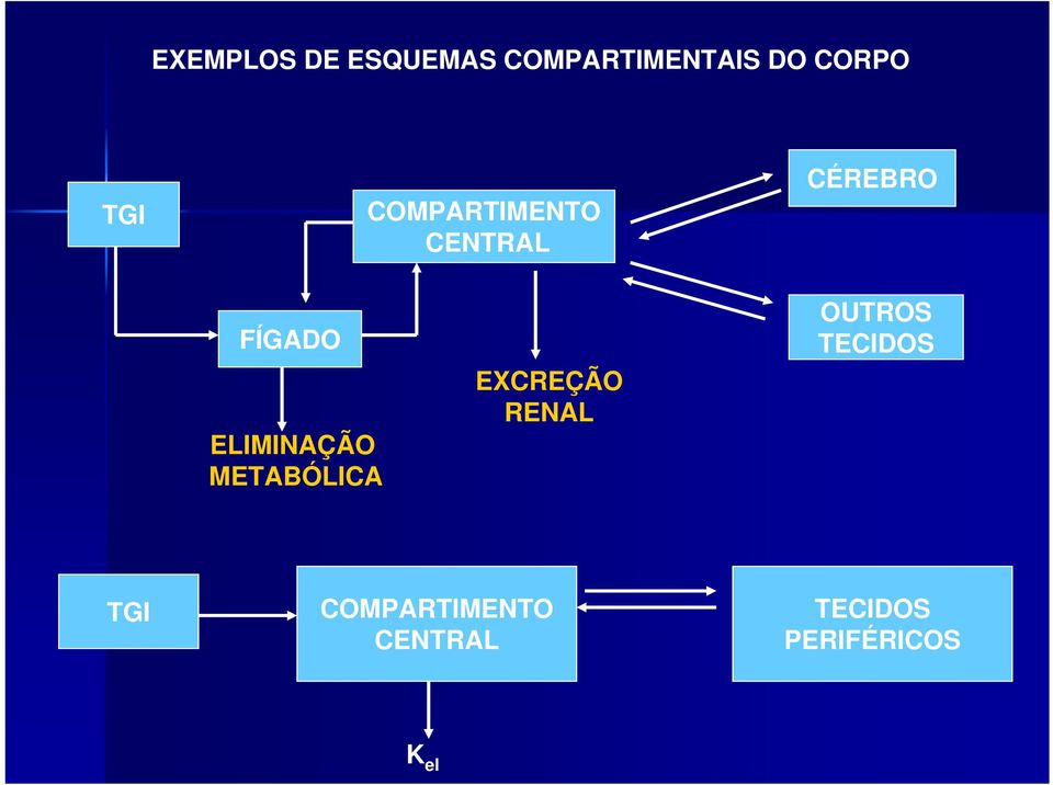 ELIMINAÇÃO METABÓLICA EXCREÇÃO RENAL OUTROS