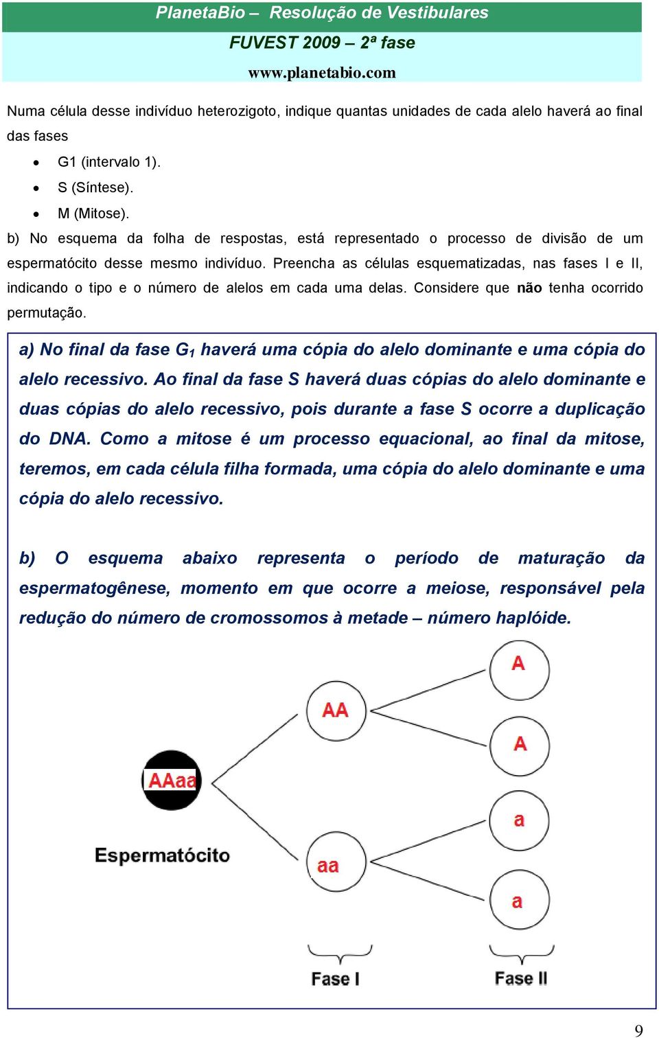 Preencha as células esquematizadas, nas fases I e II, indicando o tipo e o número de alelos em cada uma delas. Considere que não tenha ocorrido permutação.