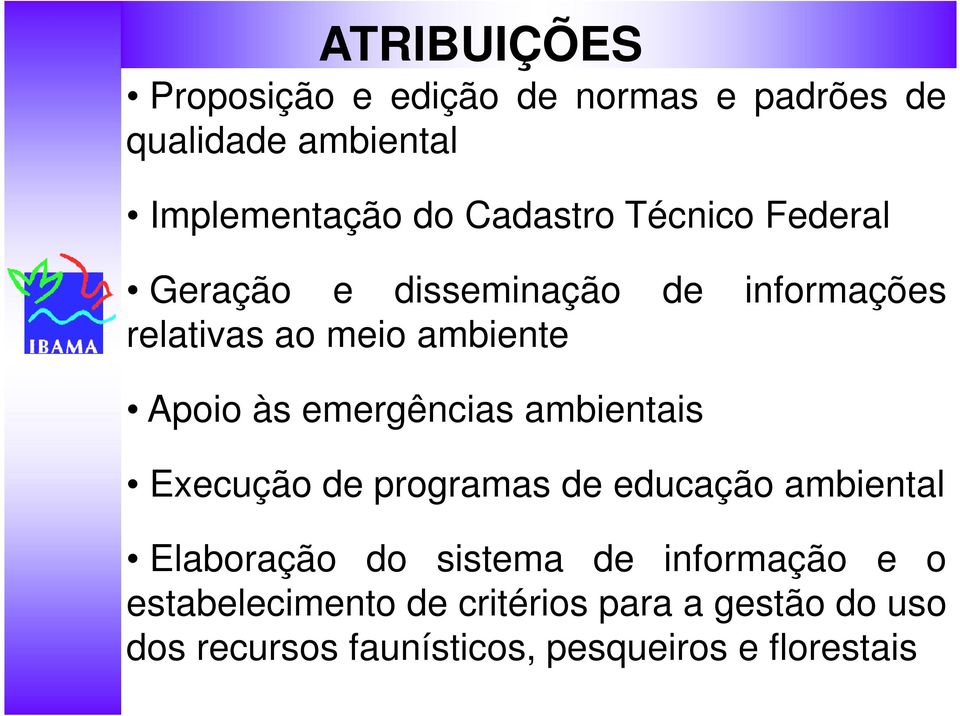 emergências ambientais Execução de programas de educação ambiental Elaboração do sistema de