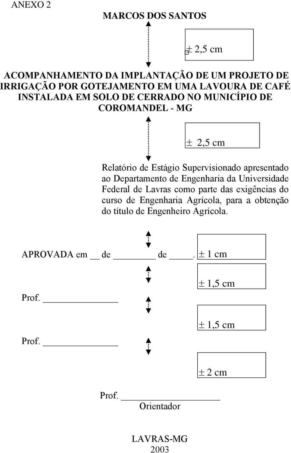 Departamento de Engenharia da Universidade Federal de Lavras como parte das exigências do curso de Engenharia Agrícola, para