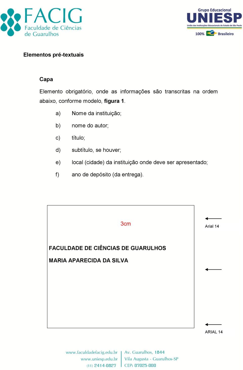 a) Nome da instituição; b) nome do autor; c) título; d) subtítulo, se houver; e) local (cidade)