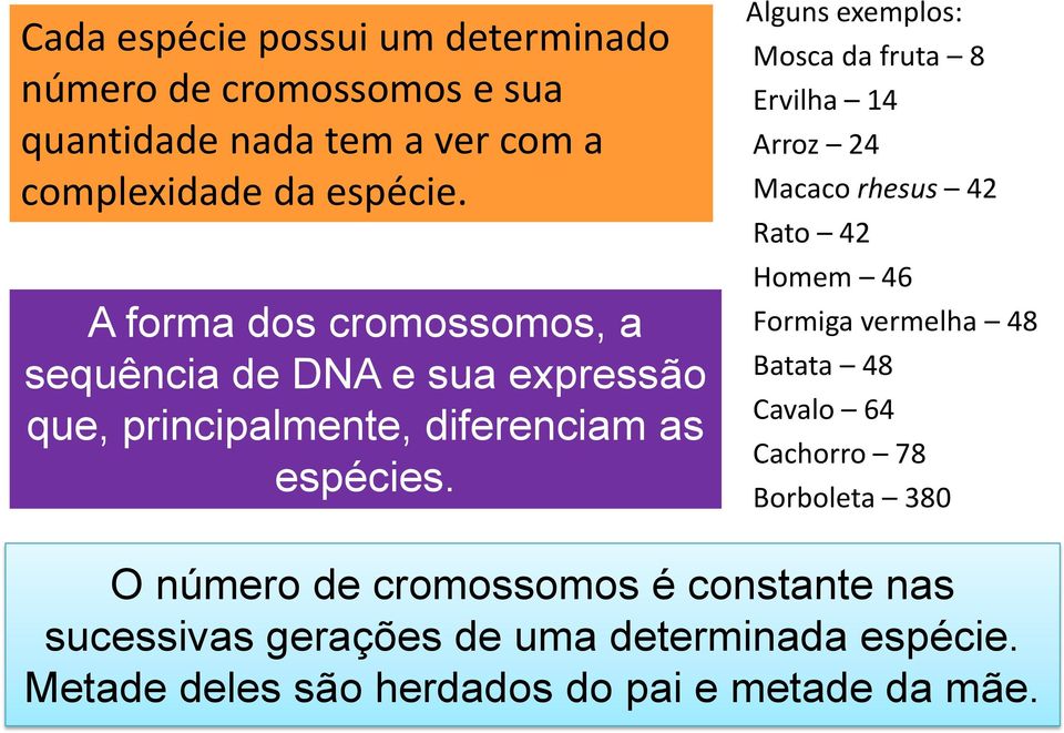 Alguns exemplos: Mosca da fruta 8 Ervilha 14 Arroz 24 Macaco rhesus 42 Rato 42 Homem 46 Formiga vermelha 48 Batata 48 Cavalo 64