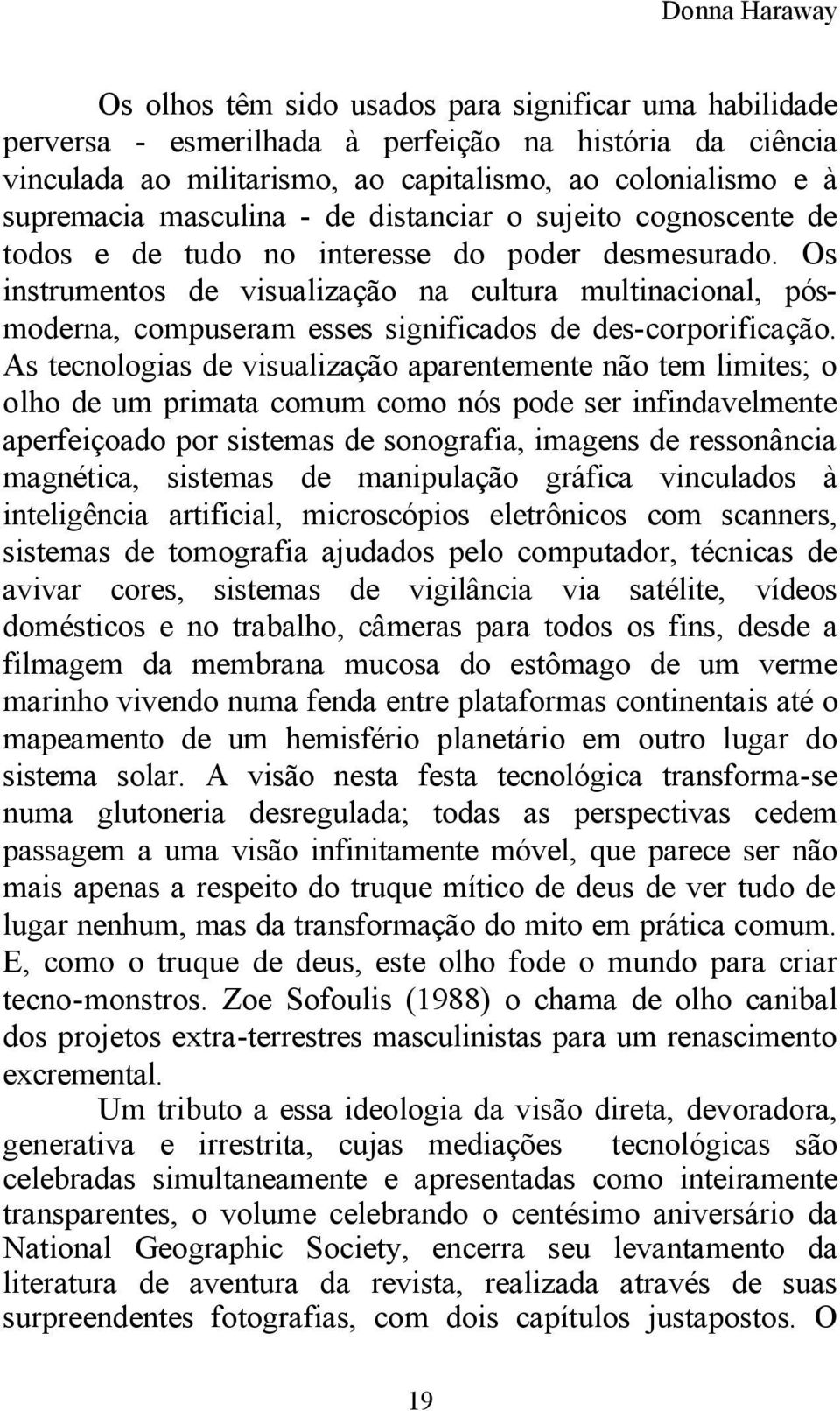 Os instrumentos de visualização na cultura multinacional, pósmoderna, compuseram esses significados de des-corporificação.