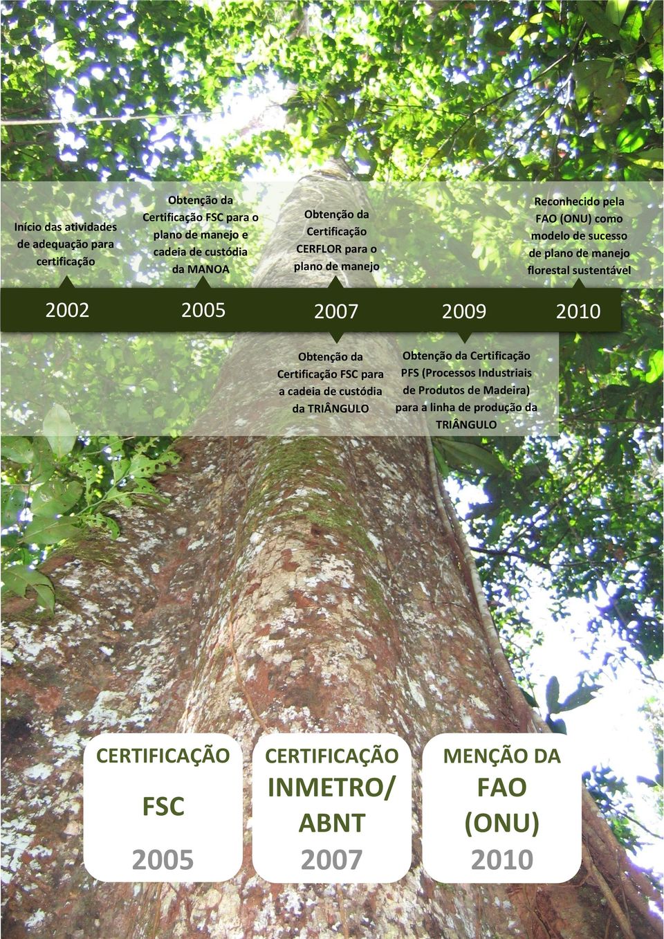 florestal sustentável 2009 2010 Obtenção da Certificação Obtenção da Certificação FSC para PFS (Processos Industriais de Produtos de Madeira)