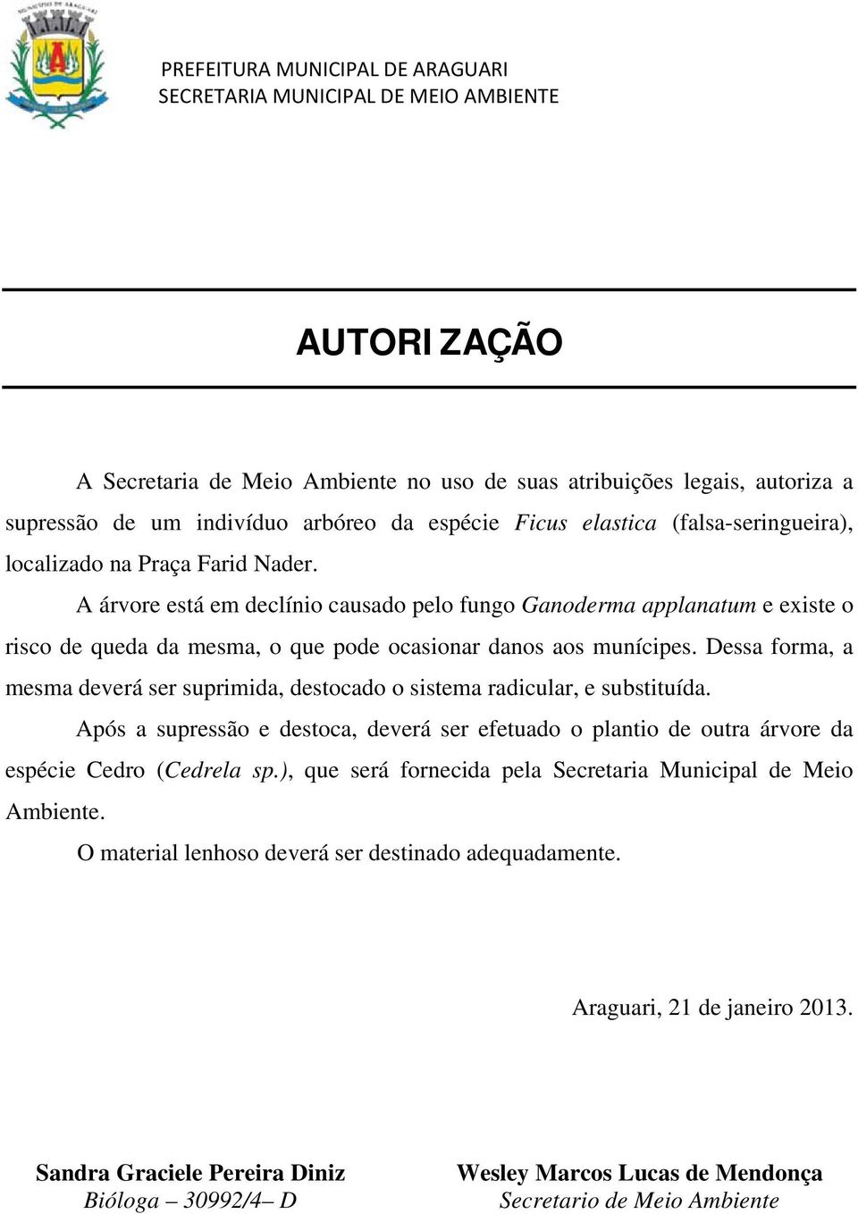 Dessa forma, a mesma deverá ser suprimida, destocado o sistema radicular, e substituída. Após a supressão e destoca, deverá ser efetuado o plantio de outra árvore da espécie Cedro (Cedrela sp.