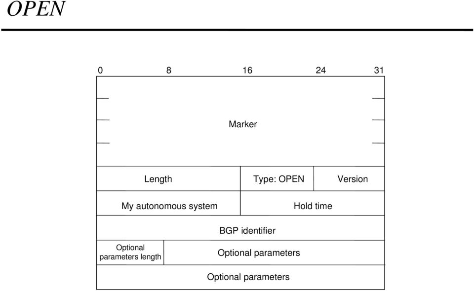 time BGP identifier Optional parameters