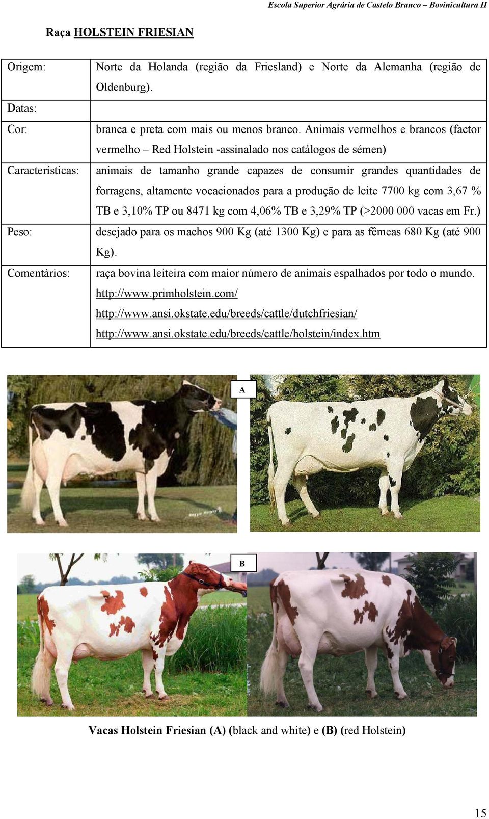 altamente vocacionados para a produção de leite 7700 kg com 3,67 % TB e 3,10% TP ou 8471 kg com 4,06% TB e 3,29% TP (>2000 000 vacas em Fr.