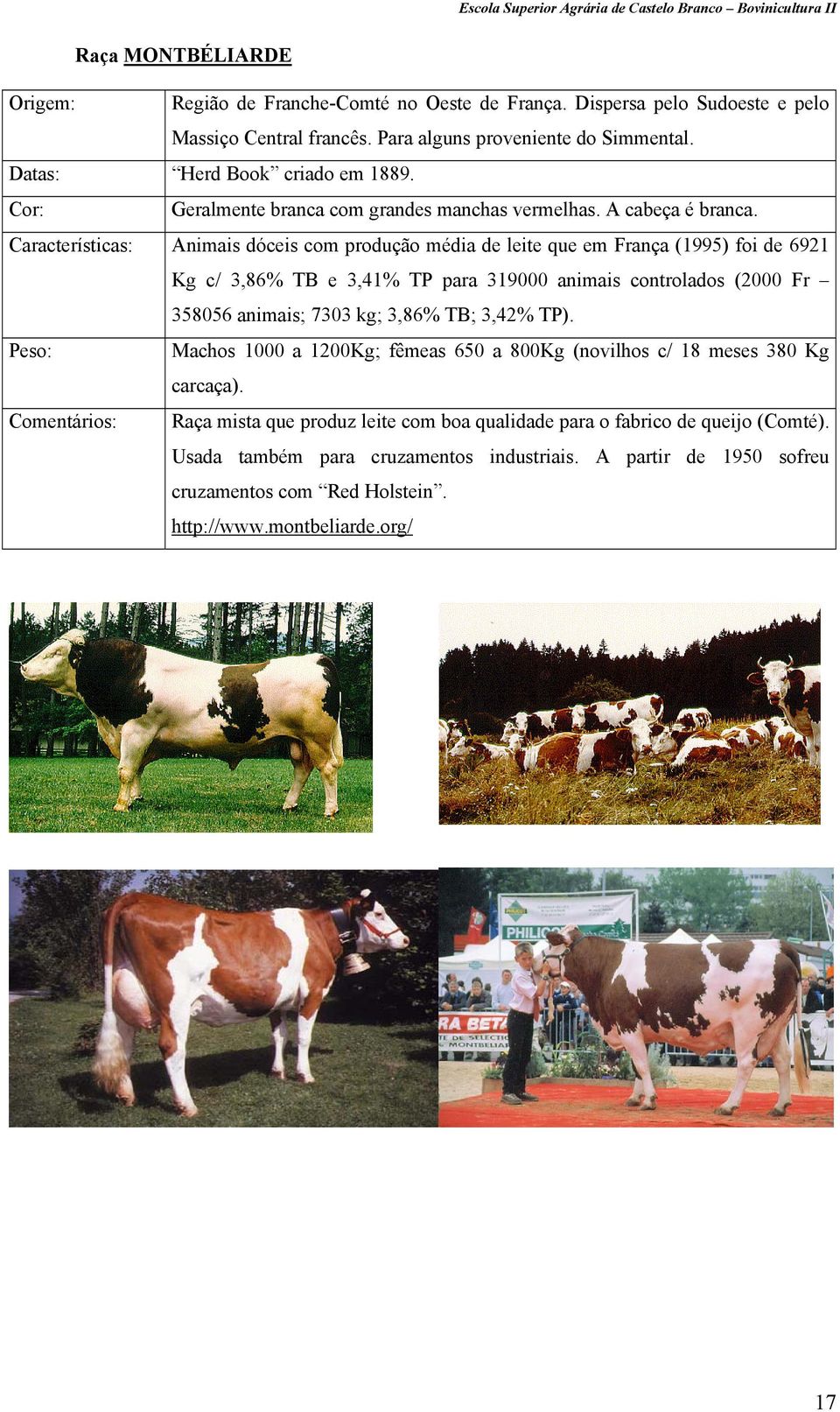 Características: Animais dóceis com produção média de leite que em França (1995) foi de 6921 Kg c/ 3,86% TB e 3,41% TP para 319000 animais controlados (2000 Fr 358056 animais; 7303 kg; 3,86%