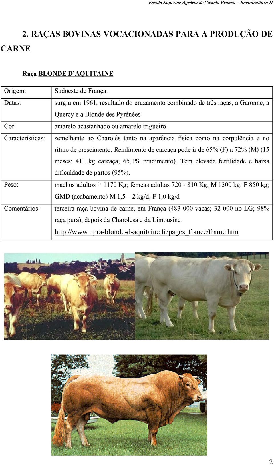 Características: semelhante ao Charolês tanto na aparência física como na corpulência e no ritmo de crescimento.