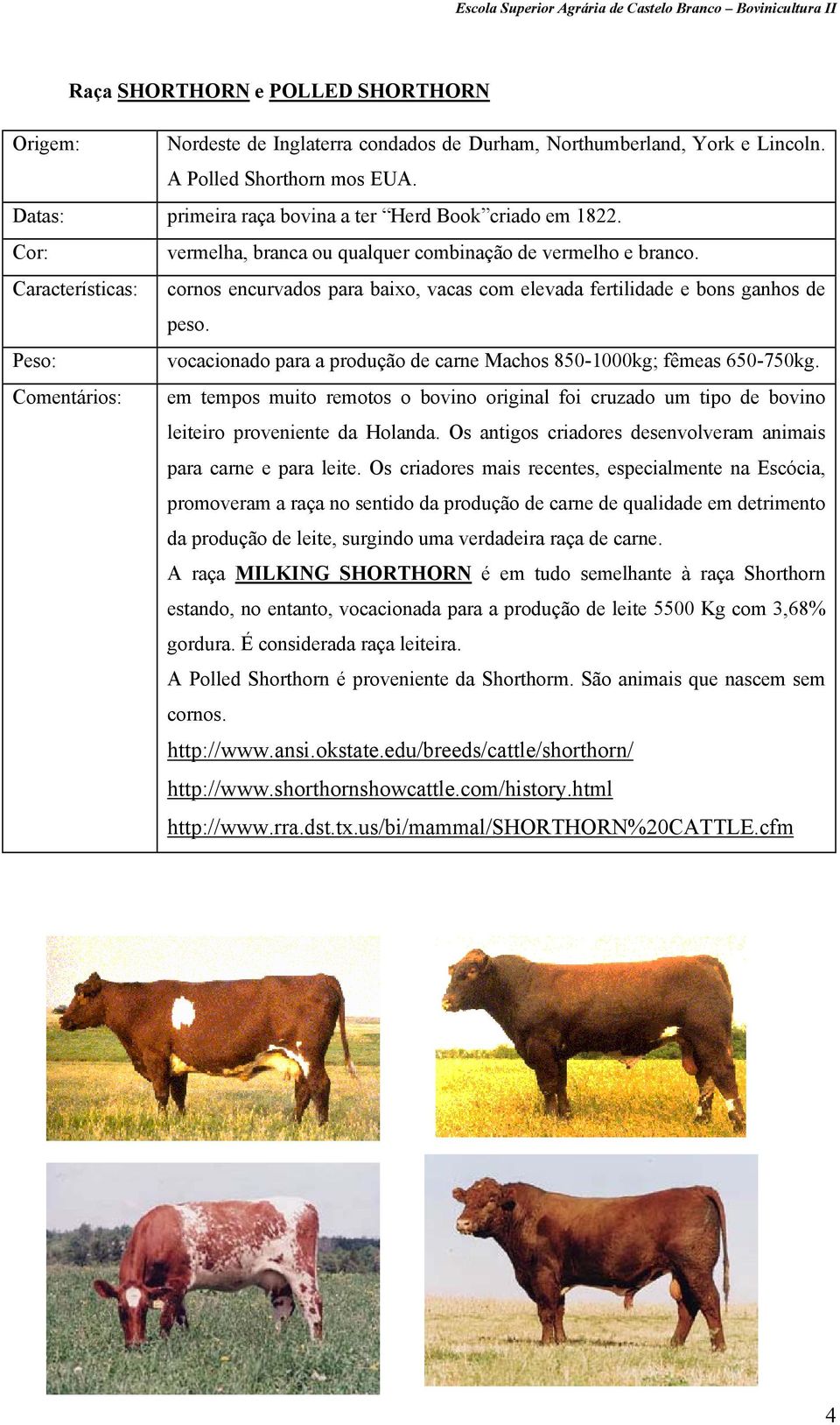 vocacionado para a produção de carne Machos 850-1000kg; fêmeas 650-750kg. Comentários: em tempos muito remotos o bovino original foi cruzado um tipo de bovino leiteiro proveniente da Holanda.