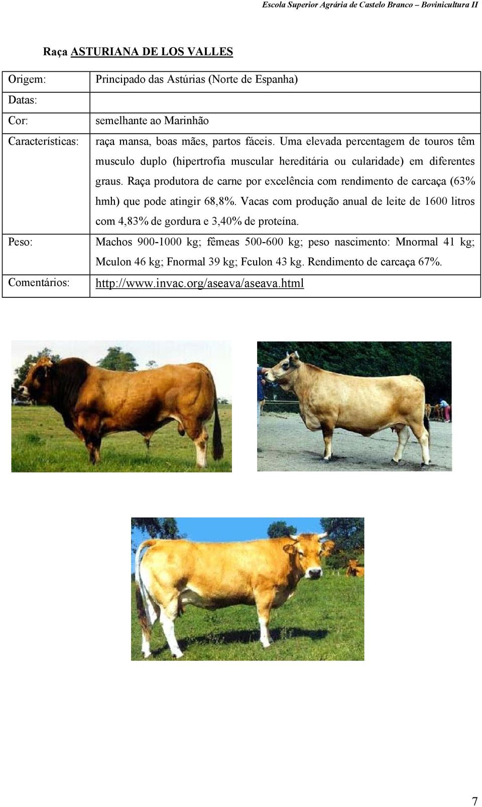 Raça produtora de carne por excelência com rendimento de carcaça (63% hmh) que pode atingir 68,8%.