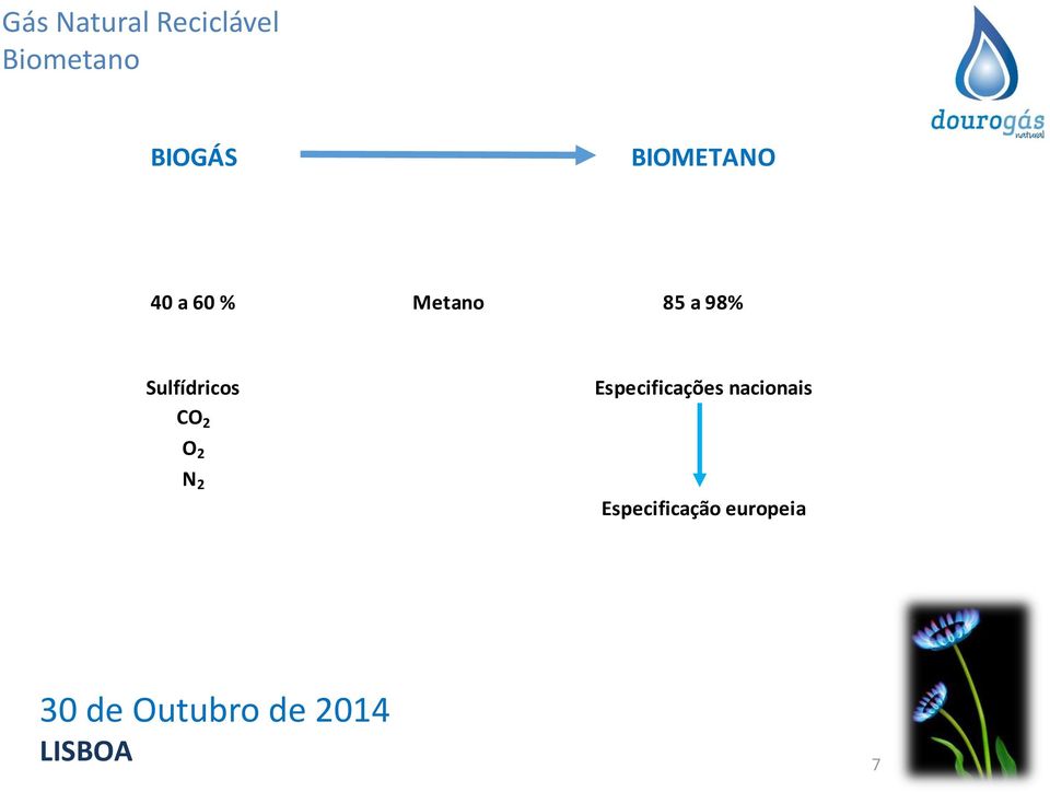 CO 2 O 2 N 2 Especificações