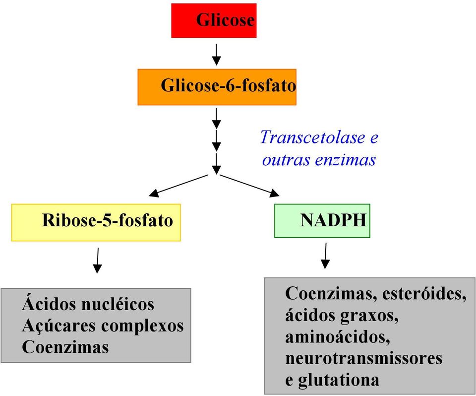 Açúcares complexos Coenzimas Coenzimas, esteróides,