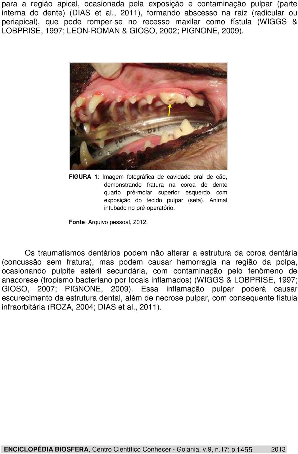 FIGURA 1: Imagem fotográfica de cavidade oral de cão, demonstrando fratura na coroa do dente quarto pré-molar superior esquerdo com exposição do tecido pulpar (seta).