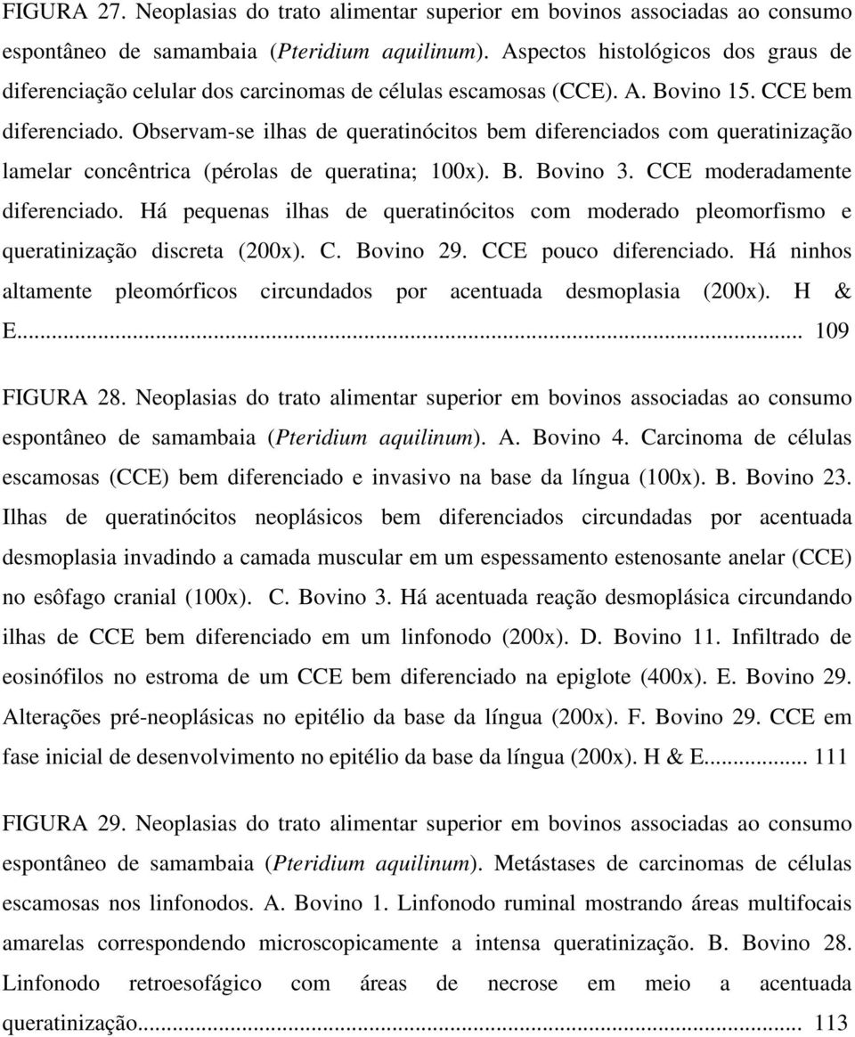 Observam-se ilhas de queratinócitos bem diferenciados com queratinização lamelar concêntrica (pérolas de queratina; 100x). B. Bovino 3. CCE moderadamente diferenciado.