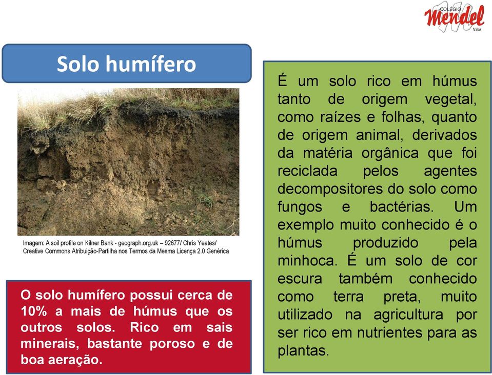 É um solo rico em húmus tanto de origem vegetal, como raízes e folhas, quanto de origem animal, derivados da matéria orgânica que foi reciclada pelos agentes decompositores