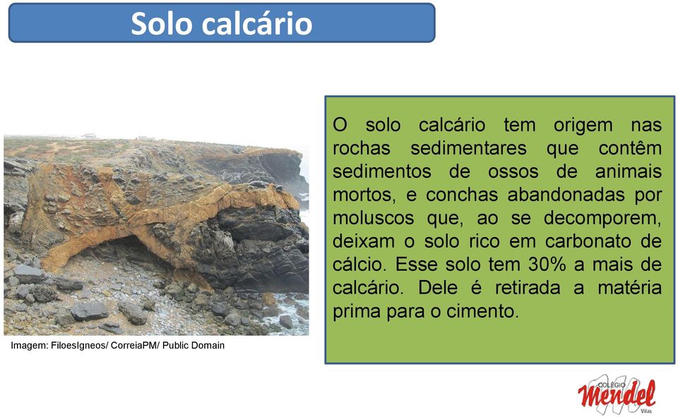 deixam o solo rico em carbonato de cálcio. Esse solo tem 30% a mais de calcário.