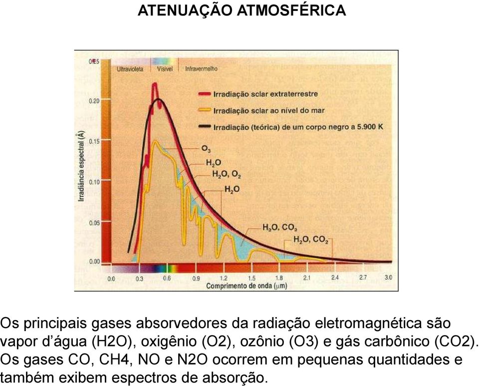 ozônio (O3) e gás carbônico (CO2).