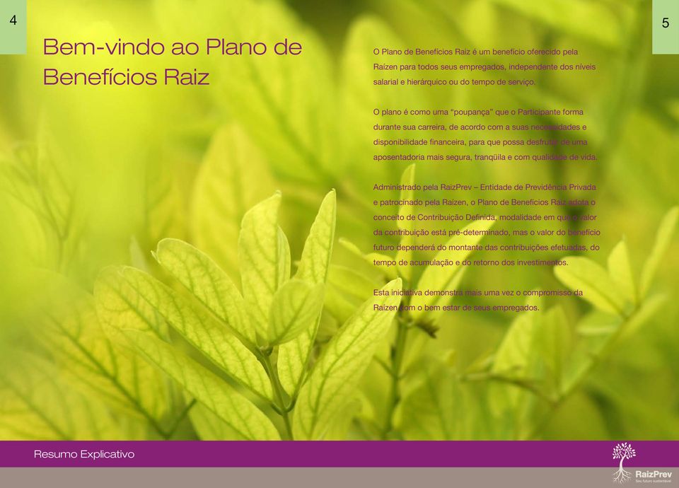 5 O plano é como uma poupança que o Participante forma durante sua carreira, de acordo com a suas necessidades e disponibilidade financeira, para que possa desfrutar de uma aposentadoria mais segura,