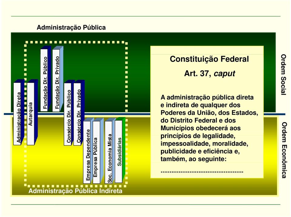 obedecerá aos princípios de legalidade Administração Empresa Dependente Empresa Pública nomia Mista Subsidiárias Consórcio Dir.