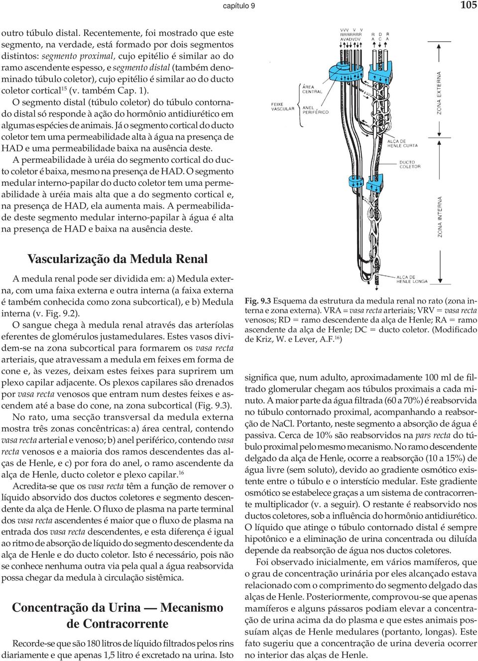 (também denominado túbulo coletor), cujo epitélio é similar ao do ducto coletor cortical 15 (v. também Cap. 1).