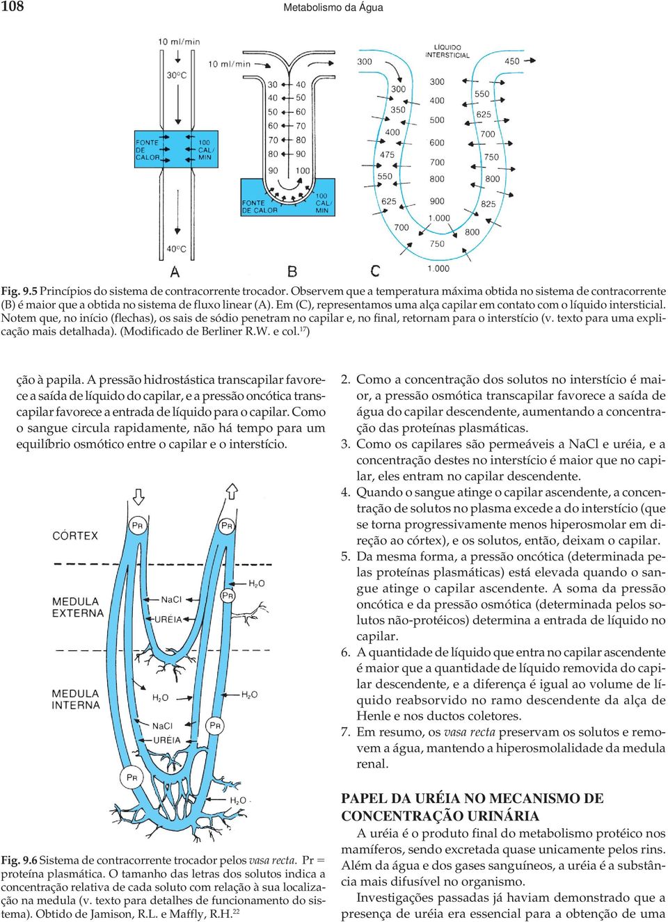 Em (C), representamos uma alça capilar em contato com o líquido intersticial. Notem que, no início (flechas), os sais de sódio penetram no capilar e, no final, retornam para o interstício (v.