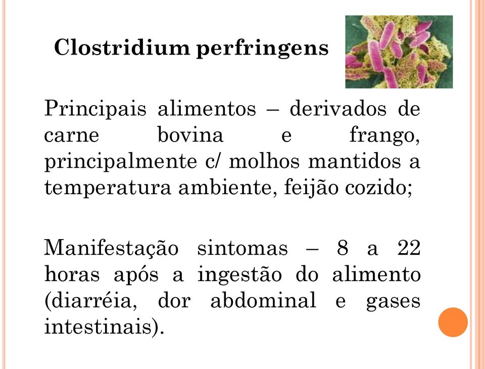 ambiente, feijão cozido; Manifestação sintomas 8 a 22 horas após